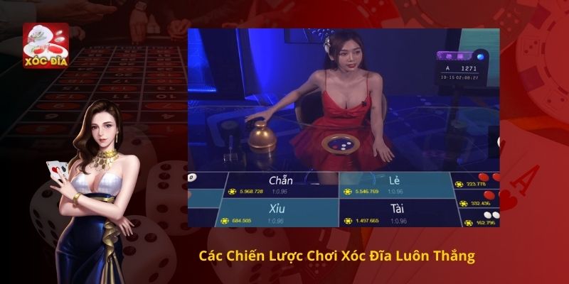 Các Chiến Lược Chơi Xóc Đĩa Luôn Thắng
