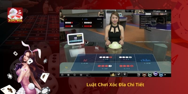Luật Chơi Xóc Đĩa